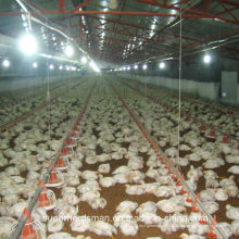 Maquinaria agrícola automática de Chiken para o frango de corte